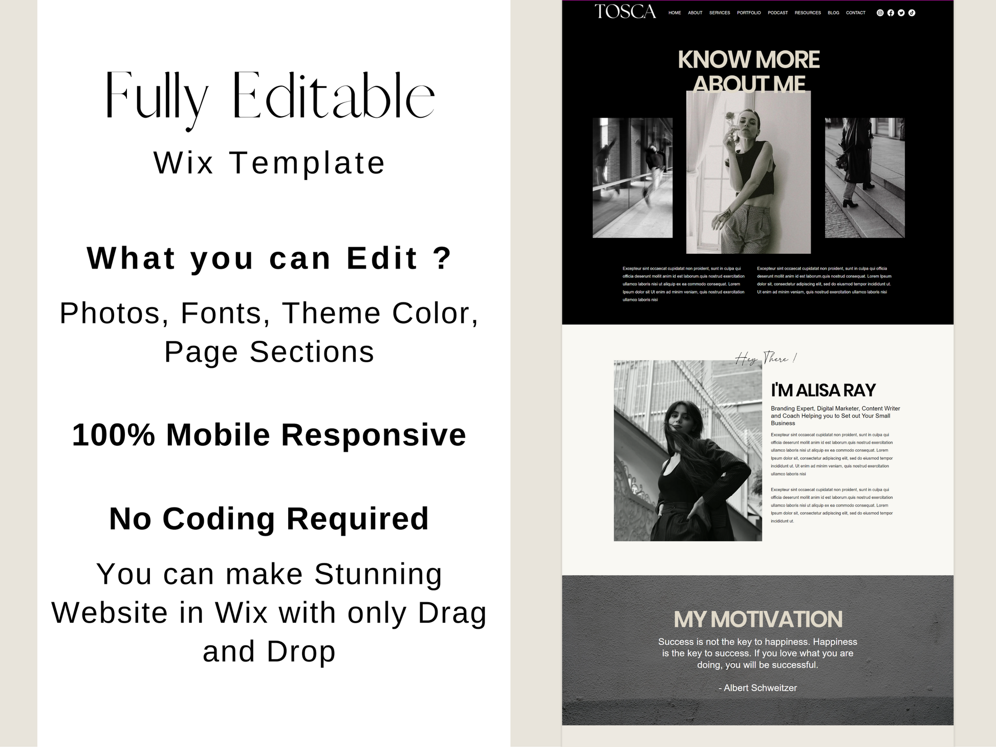 Wix Website Template - Advertfox