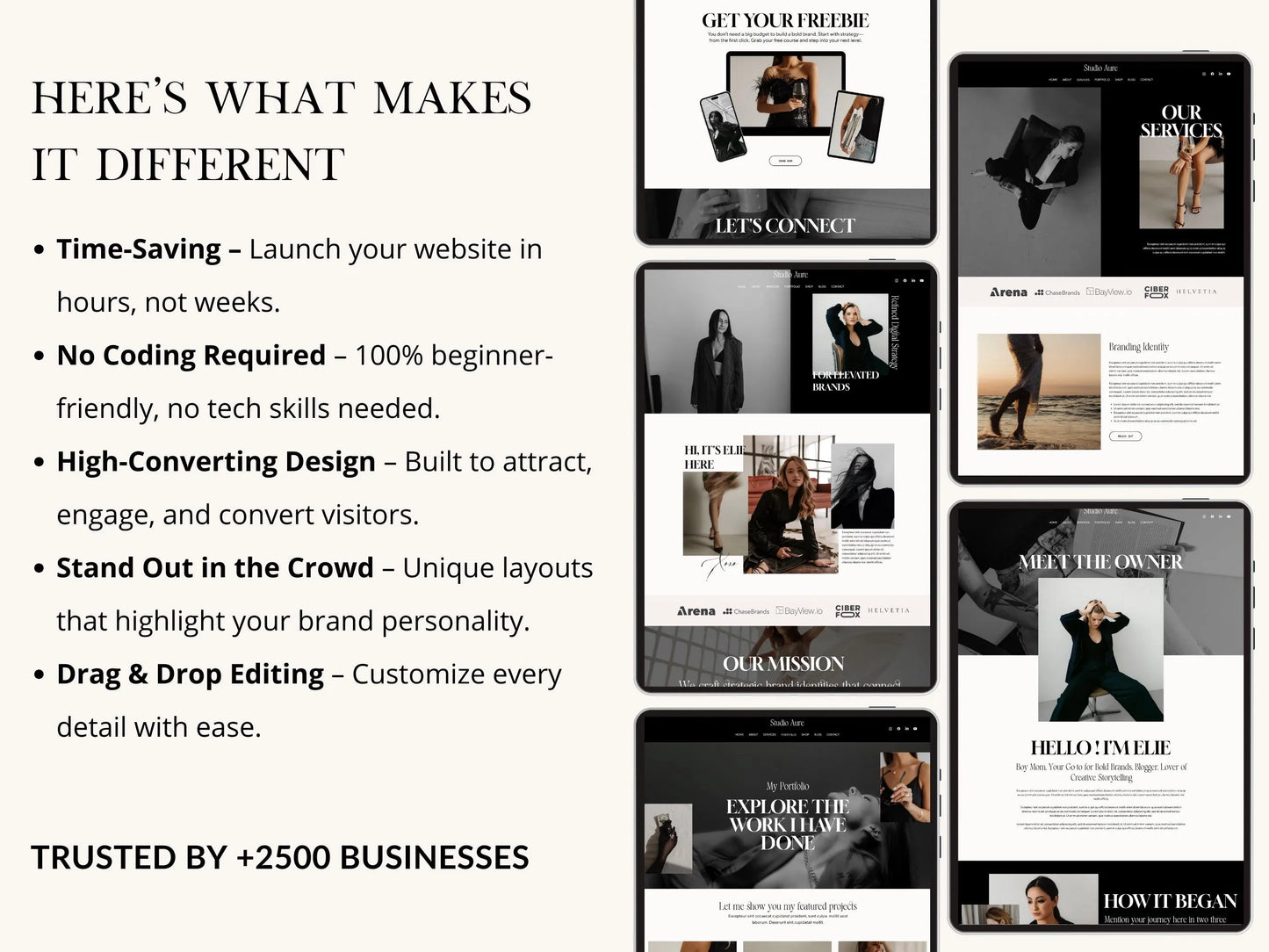 Luxury Wix Studio Website Template for Consultancy & Creatives - Advertfox