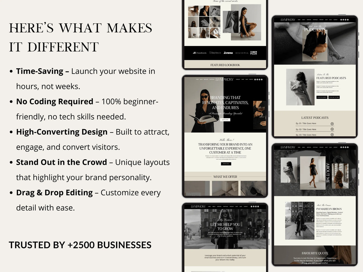Luxury Wix Website Template for Creatives, Brand Managers - Advertfox