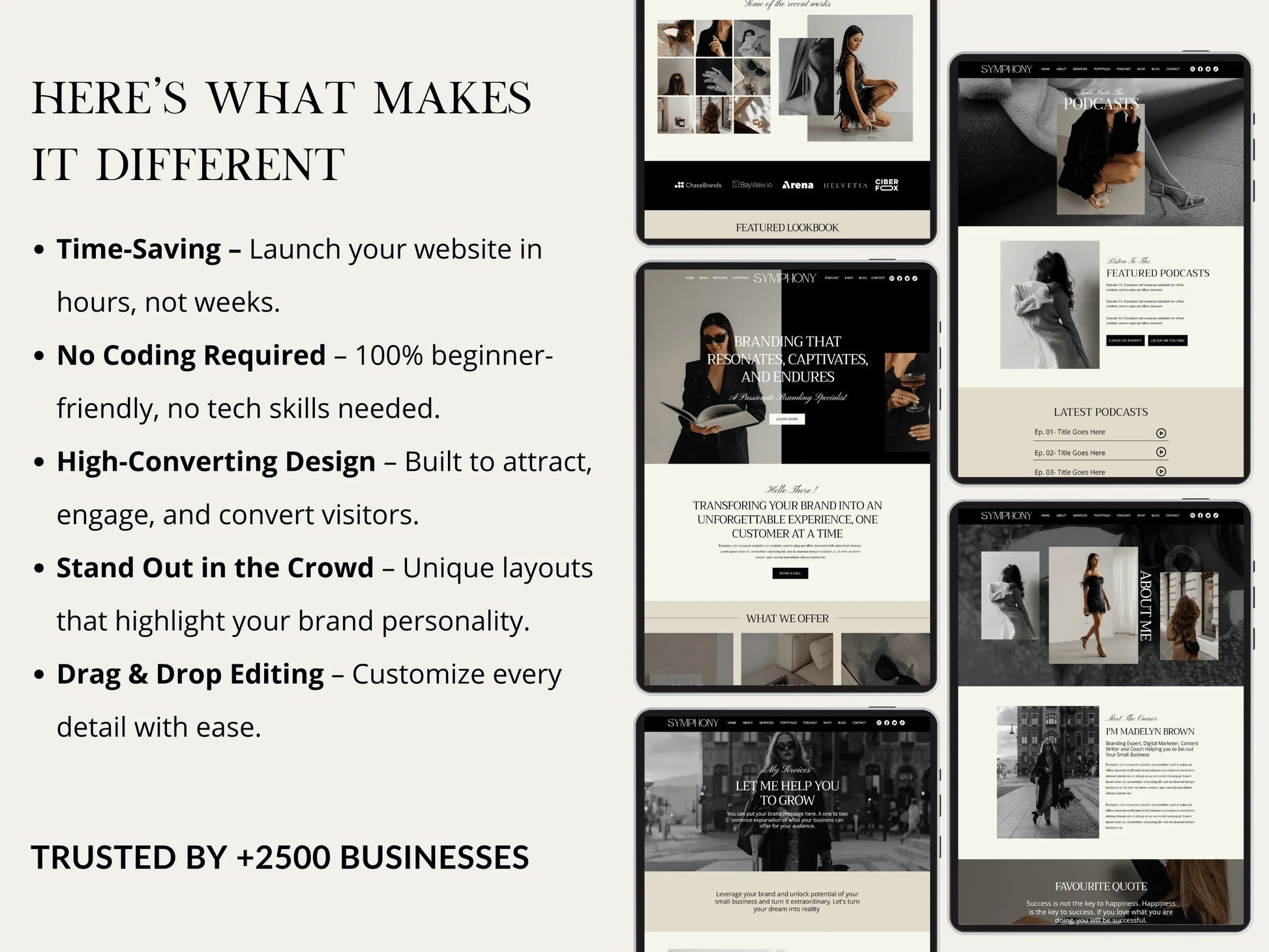 Luxury Wix Website Template for Creatives, Brand Managers - Advertfox